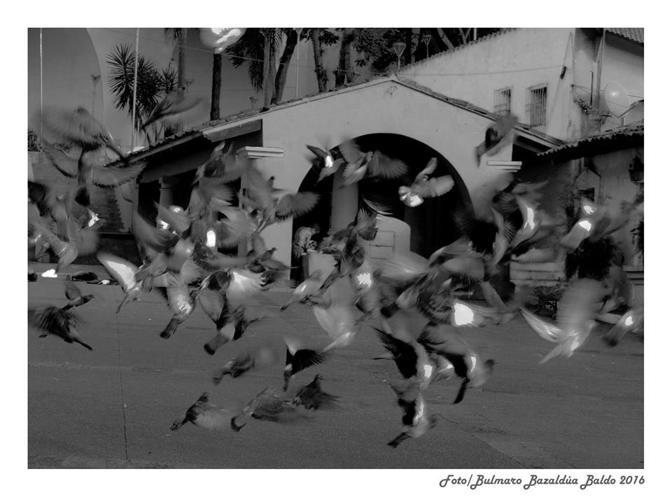 danza_bulmaro_Bazaldúa_Baldo