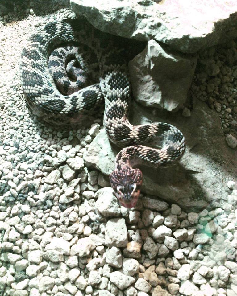 Espera_Ricardo_Luna_Aburto