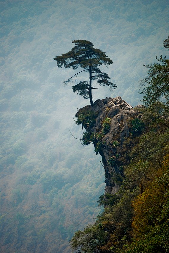 Balcondeldiablo_Bulmaro_Bazaldúa_Baldo