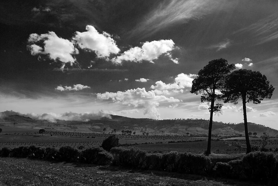 Cielo del altiplano_Bulmaro_Bazaldúa_Baldo