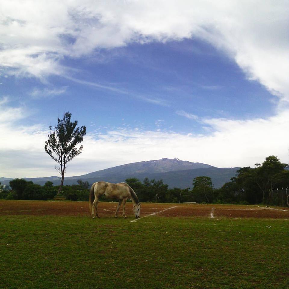 Horizonte_de_grandeza_Ricardo_Luna_Aburto