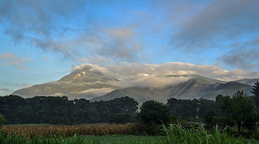 niebla_que_viene_Bulmaro_Bazaldúa_Baldo