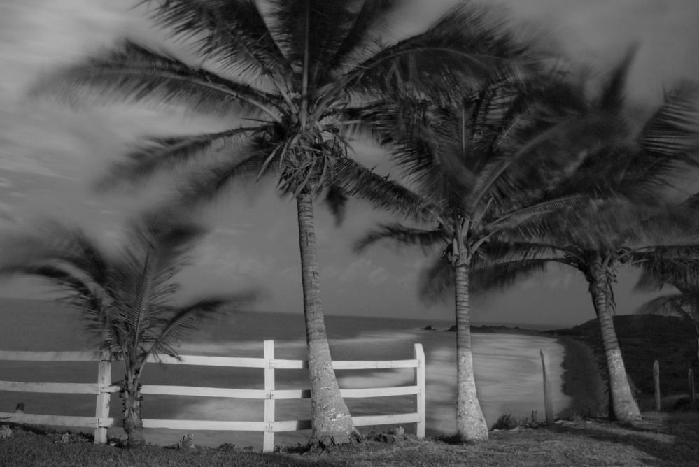 ulular_bulmaro_bazaldua_baldo