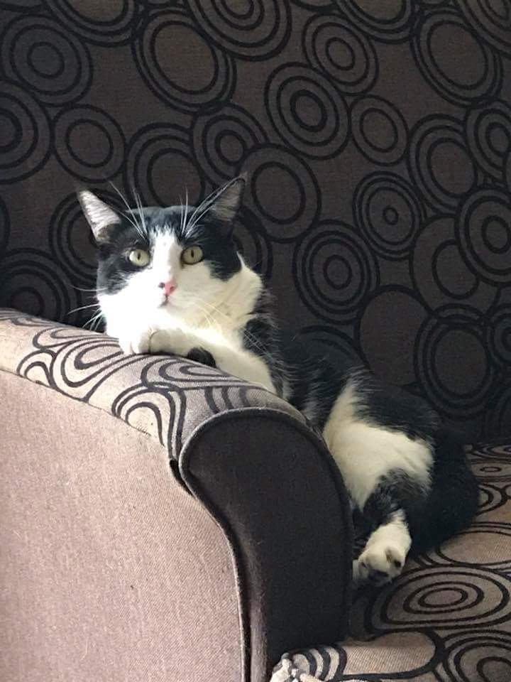 22221581_10155094887404716_6341799955645463779_n